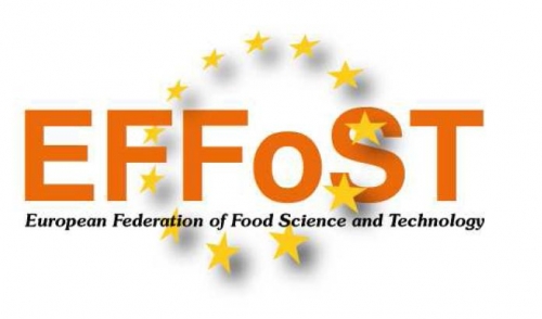 EFFoST riunione annuale - Bologna dal 12 al 15 novembre 2013.